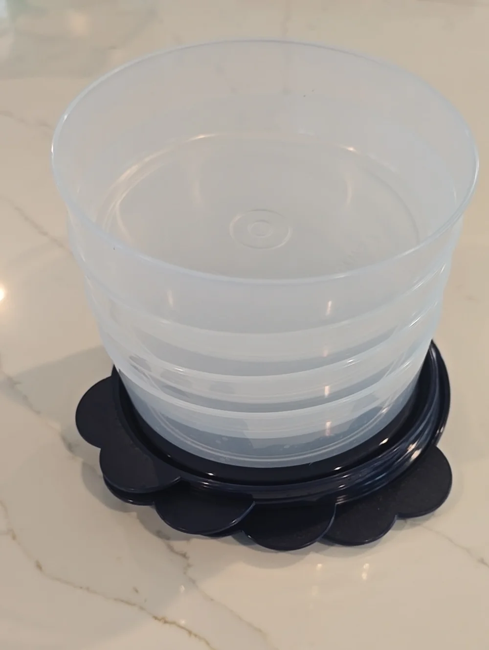Tupperware Big Wonders Bowls For Cereal Salad Ice Cream Clear Blue